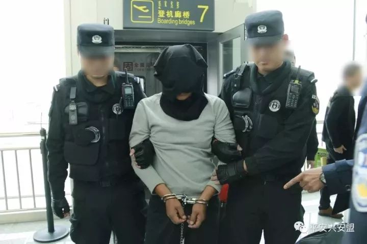 公安网安｜摆拍卖惨视频，抓！,公安网安行动，打击摆拍卖惨视频，维护网络安全