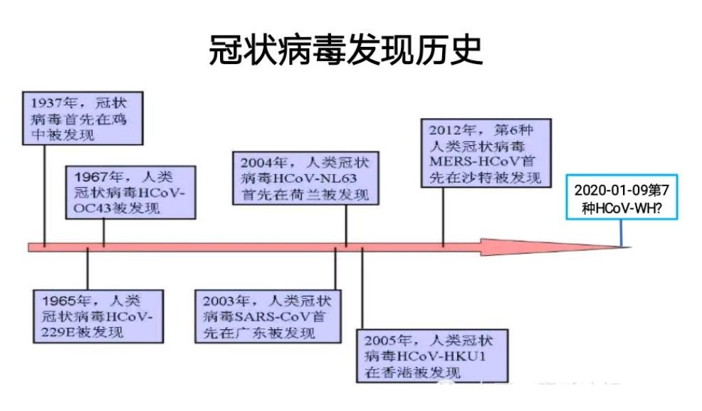 冠状最新情况,冠状病毒的最新情况分析