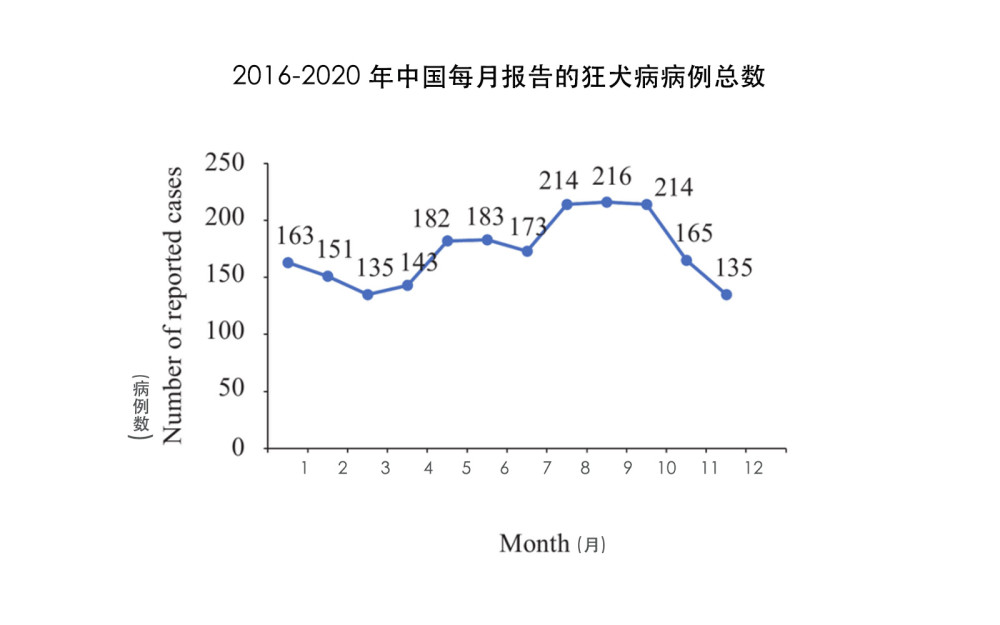 最新病例数量,病例数量统计概况