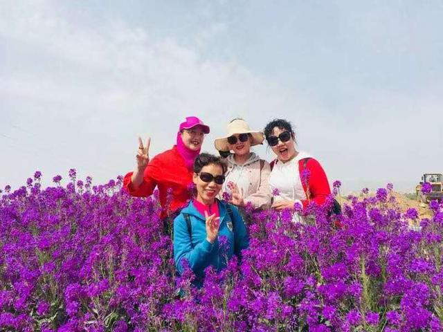 村花的最新,乡村魅力