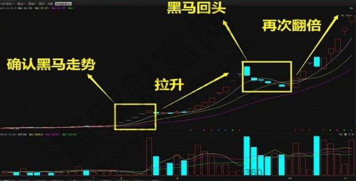 黑马最新版,一、黑马最新版概述
