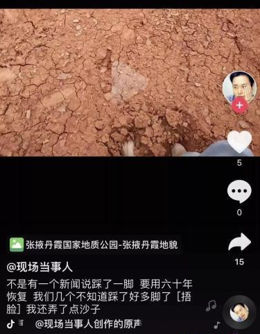 最新割蜜视频,一、蜜源探索之旅