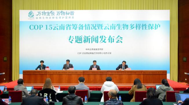 足协召开反思大会，深度剖析0-7失利背后的原因