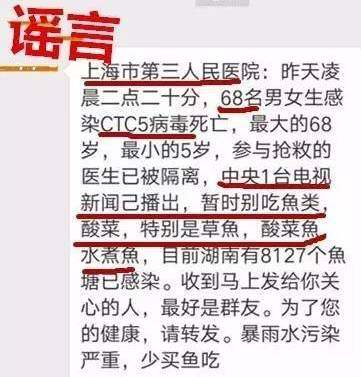 绵阳SK5病毒最新消息报道与分析，最新动态与解析