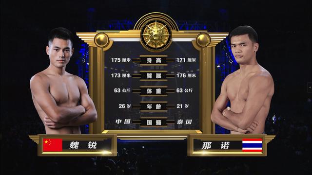 勇士归来，荣耀再燃，勇士的荣耀征途最新一期揭晓