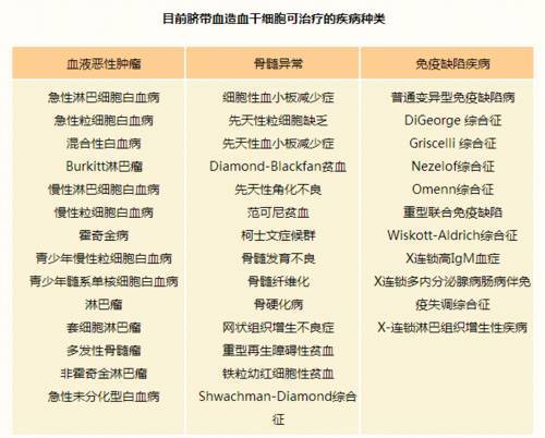 最新军人伙食费标准解读与分析，25日更新内容概述