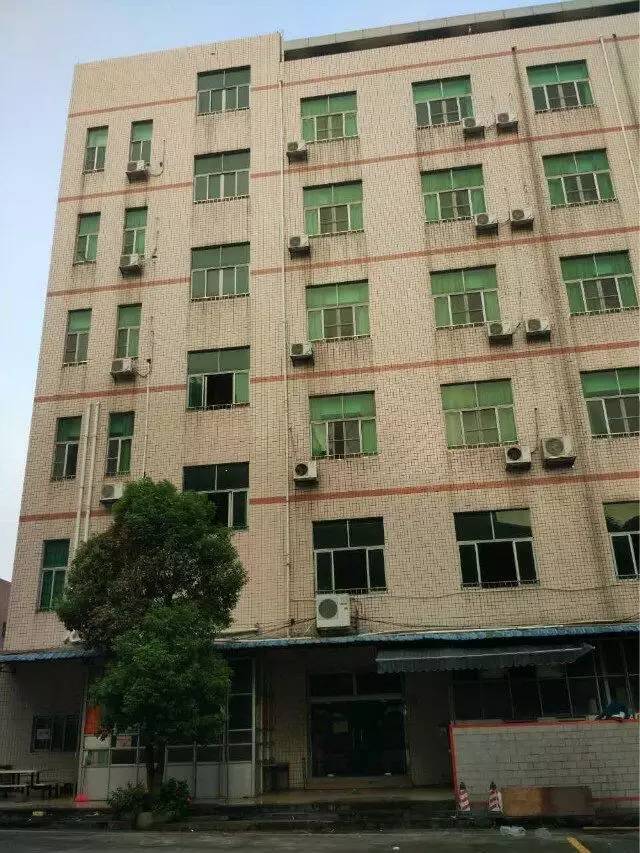 天津学校食堂最新动态，管理更新、食品安全与营养搭配进展报道