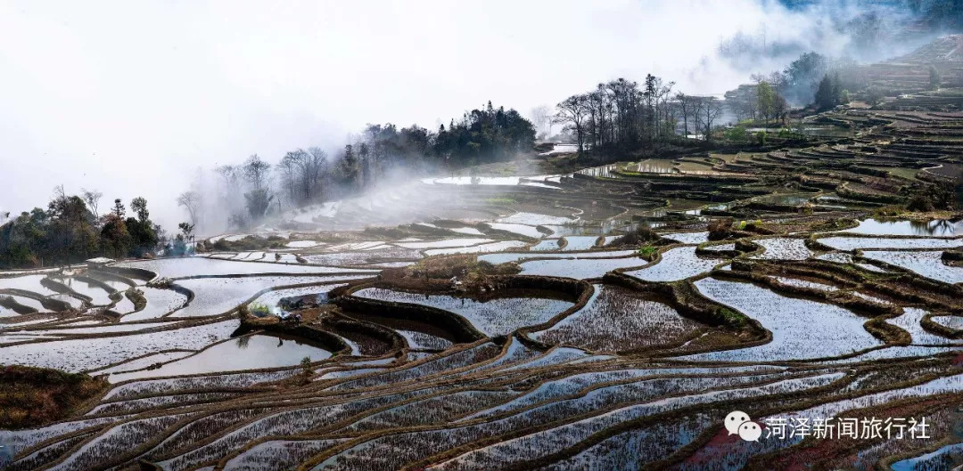 揭秘，云南旅游最新动态与曝光新闻，深度解读旅游新趋势