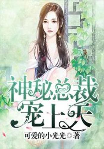 宠妻至上最新章节深度解析与探讨