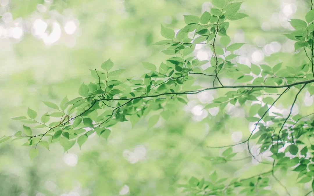 橘虞初梦 第134页