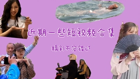 渡情奇遇，温馨日常与友情爱的纽带