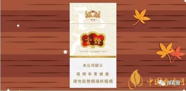 关于金圣的最新动态，三大要点深度解析报告发布