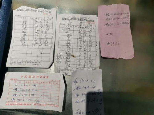 威海最新确诊情况报告，详细解析要点