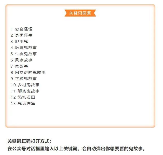 最新格斗教案深度测评与介绍，全方位解析格斗技巧及实战应用