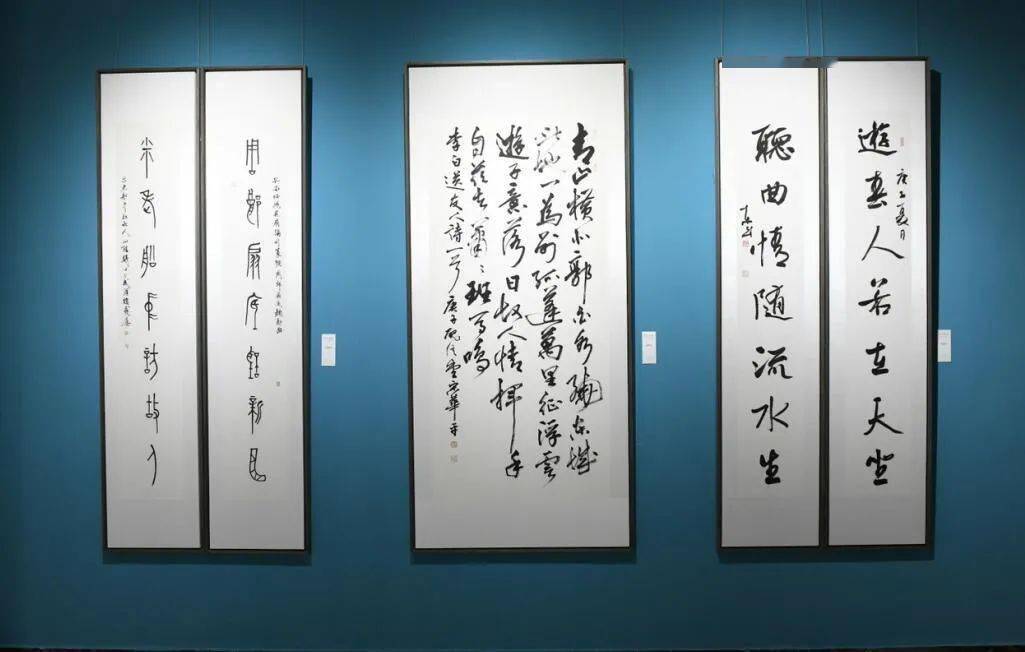 南海动态更新，获取与分析最新资讯的详细指南