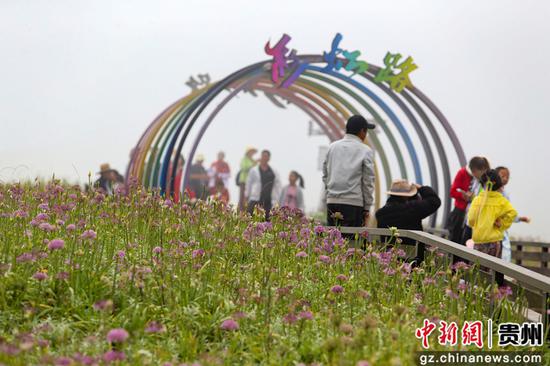 探秘最新韭菜坪，小巷中的独特风味