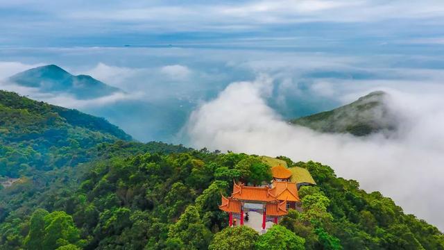 莒县最新疫情动态下的自然美景治愈之旅