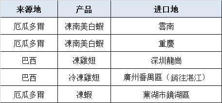 2024年澳门免费资料,战术探讨解答解释计划_同步品6.06