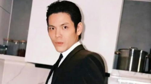 向佐回应扇李小龙模仿者巴掌事件，真相探究与时代反思