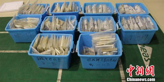 澳门破获史上最大冰毒贩卖案，幕后真相与深远影响揭秘