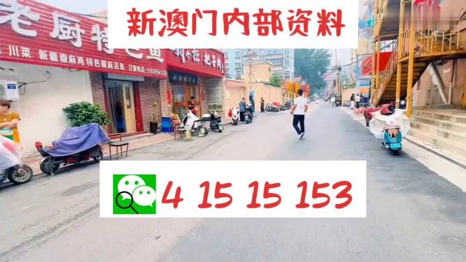 2024新澳门天天开好彩大全49,全面掌握解答解释策略_引领版4.765