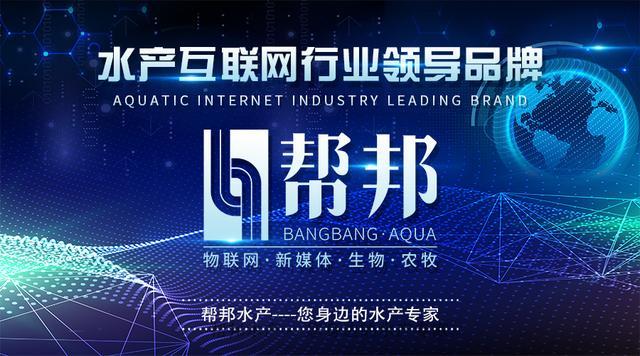 内江巨腾最新招聘与科技产品资讯，科技革新，跃动未来