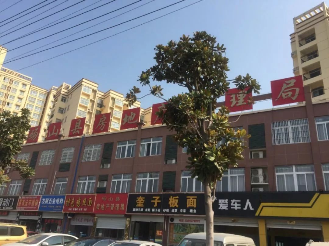 最新趋势分析