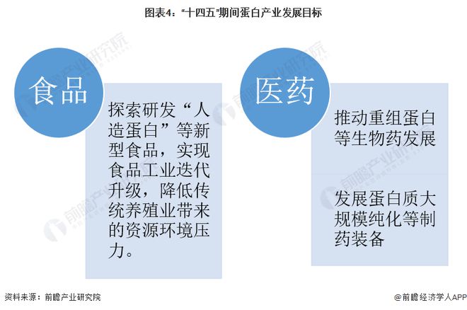 癫痫病国家最新政策解读，深度评测与全面介绍（29日版）