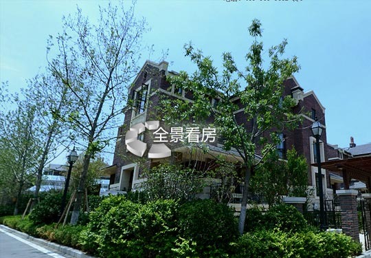 走进自然美景的治愈之旅，阜城最新楼房出售消息与寻找内心平静的冒险