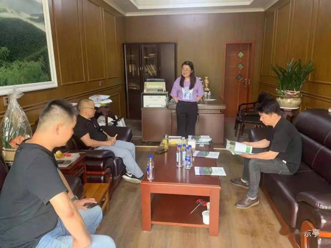重庆蔡家建设最新进展概述，最新消息揭秘一瞥