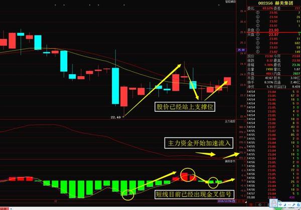 龙头股份重组揭秘，心灵探险之旅启程