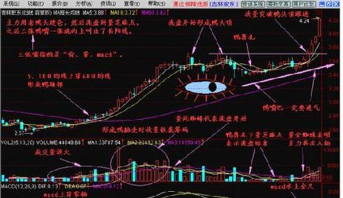 赛象科技股票动态与隐藏小巷的独特风情探索，背后的故事与一家神秘小店