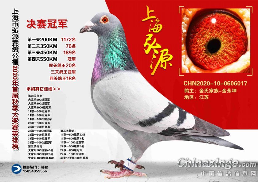君翼赛鸽公棚秋最新公告揭秘，产品深度解析与背后故事