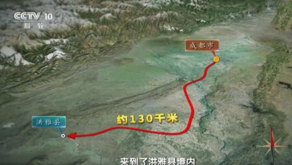 珍稀动物六不像现身云南公路，探寻珍稀动物踪迹的神秘之旅