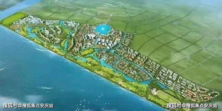 肉鸭价格最新报价与市场深度分析