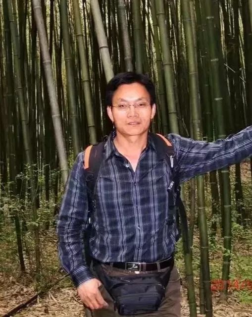 李咏最新动态，自然之旅的启示与内心平静的探寻之路