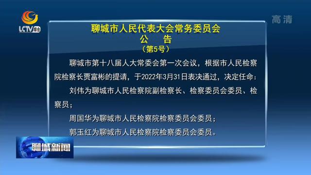 揭秘聊城市最新人事任免背后的故事，探寻小巷特色小店之旅