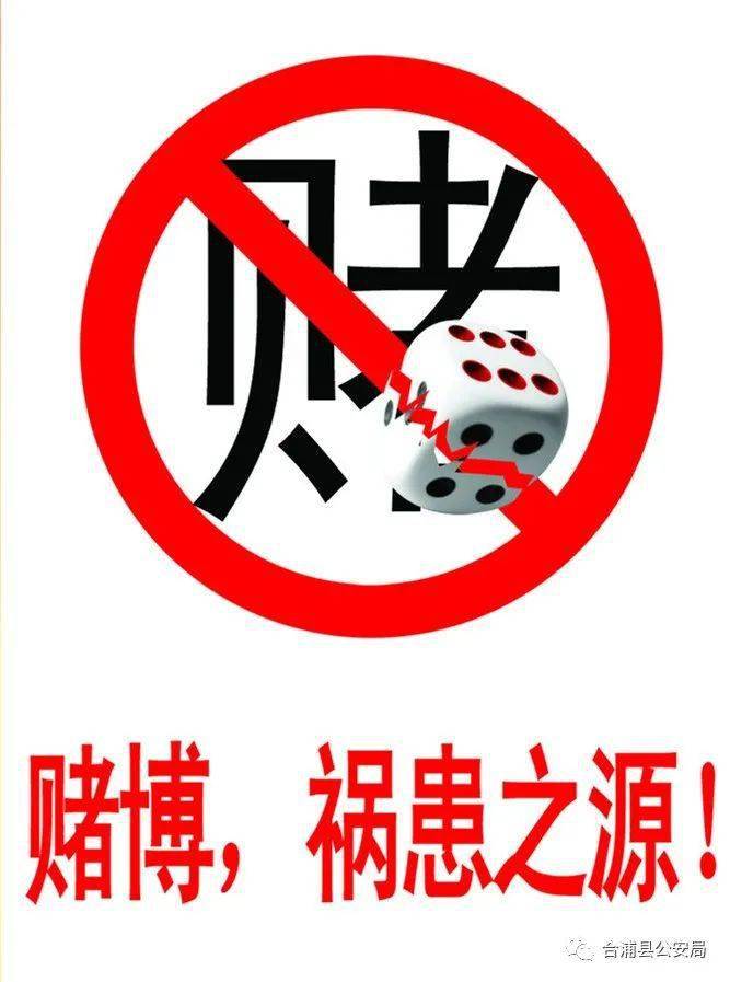 揭秘金沙隐藏赌场，探秘最新赌钱体验背后的风险与警示