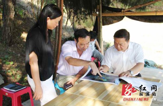 辰溪县长周详最新动态，回响与长远影响揭秘（11月3日）