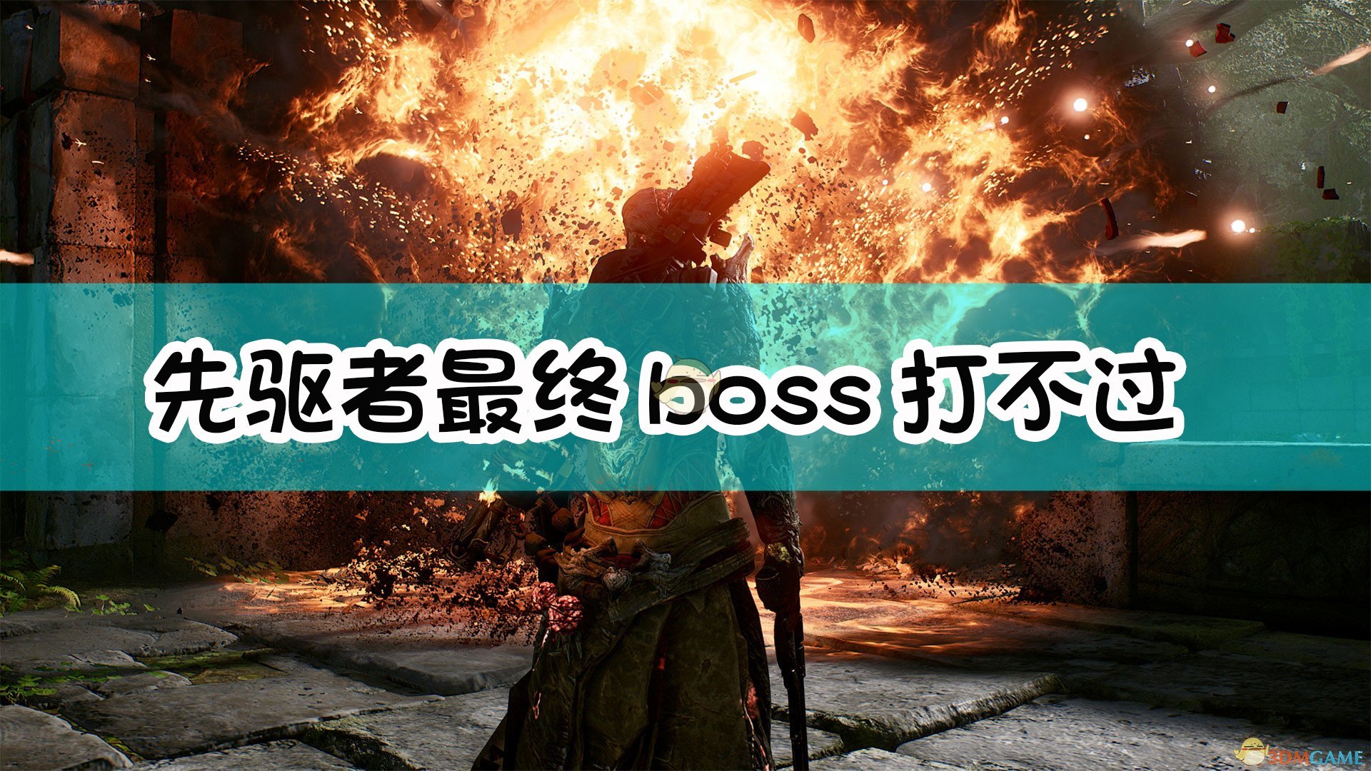 11月3日夜问打权全新攻略，任务技能提升秘籍揭秘