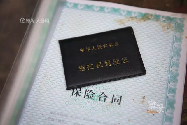 海南轮渡最新动态，探析最新轮渡的价值与影响