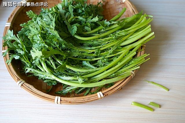 茼蒿情缘，友情与季节的温馨故事及11月3日最新行情