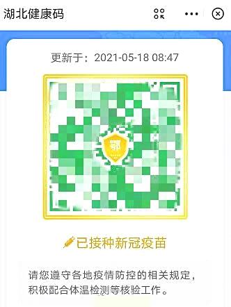 揭秘最新传支疫苗，科技护航健康，未来保障的新篇章