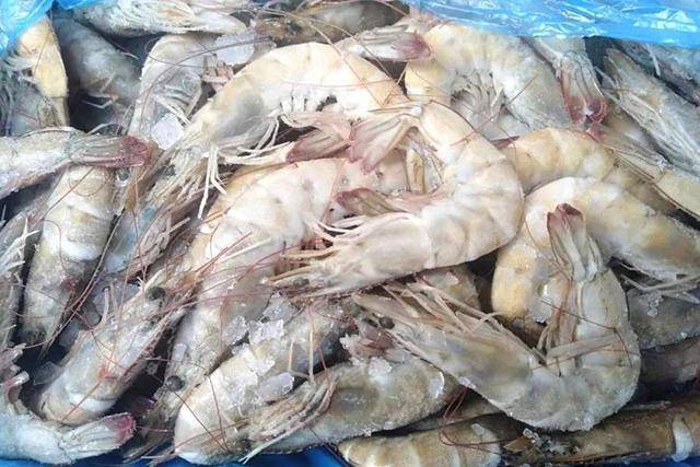 揭秘虾最新病毒，背景、事件、影响与时代地位探索