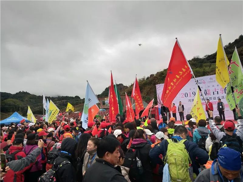 11月3日交通线最新动态解析，影响及各方观点一览