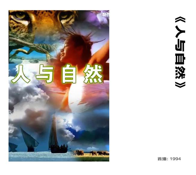 青龙电影之旅，探寻自然秘境，启程内心宁静与欢笑之旅