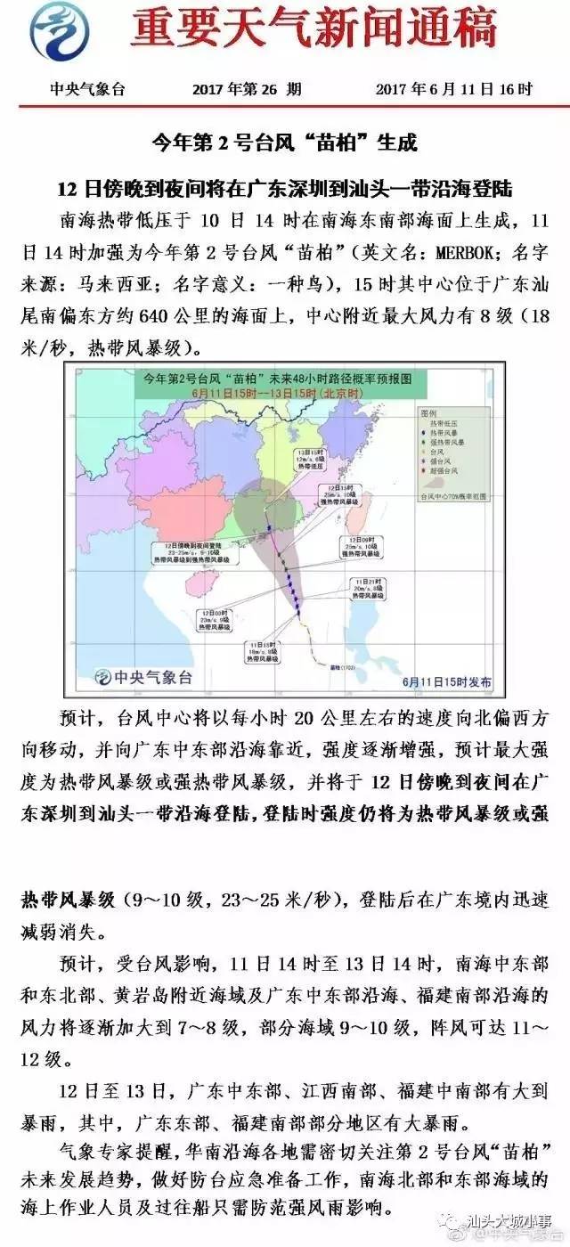 台风苗柏下的温馨日常，与友情的共舞时光（最新动向）