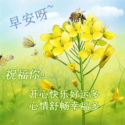 晨光里的温馨故事，最新早上好图片奇妙旅程开启