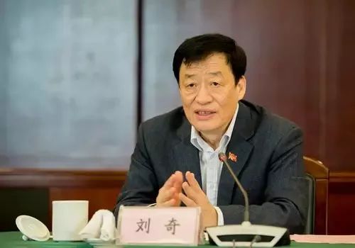 江西新任领导刘奇最新消息解读，全面揭示新任领导动向与未来展望