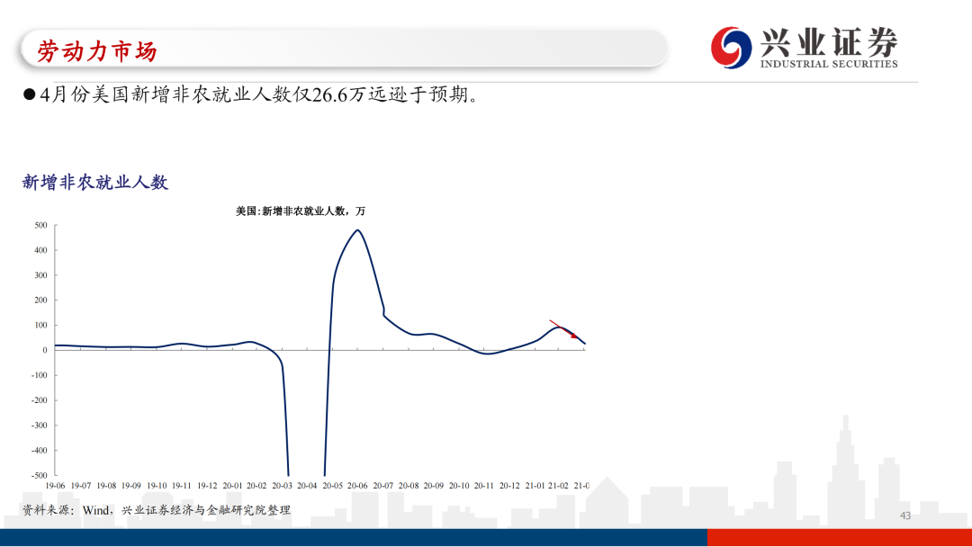 11月4日禽流感最新消息，自然之旅中寻找内心宁静的时刻